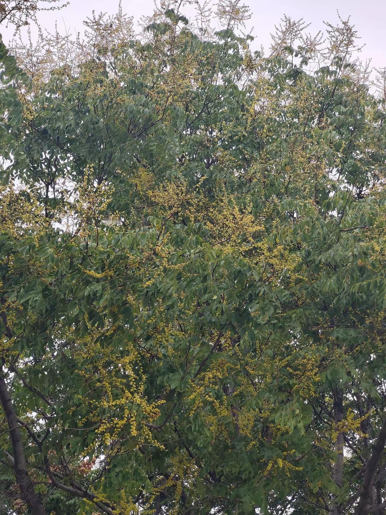 最暴利的10个行业：1、殡葬行业2、眼镜行业3、保健品与药品销售4、烟酒