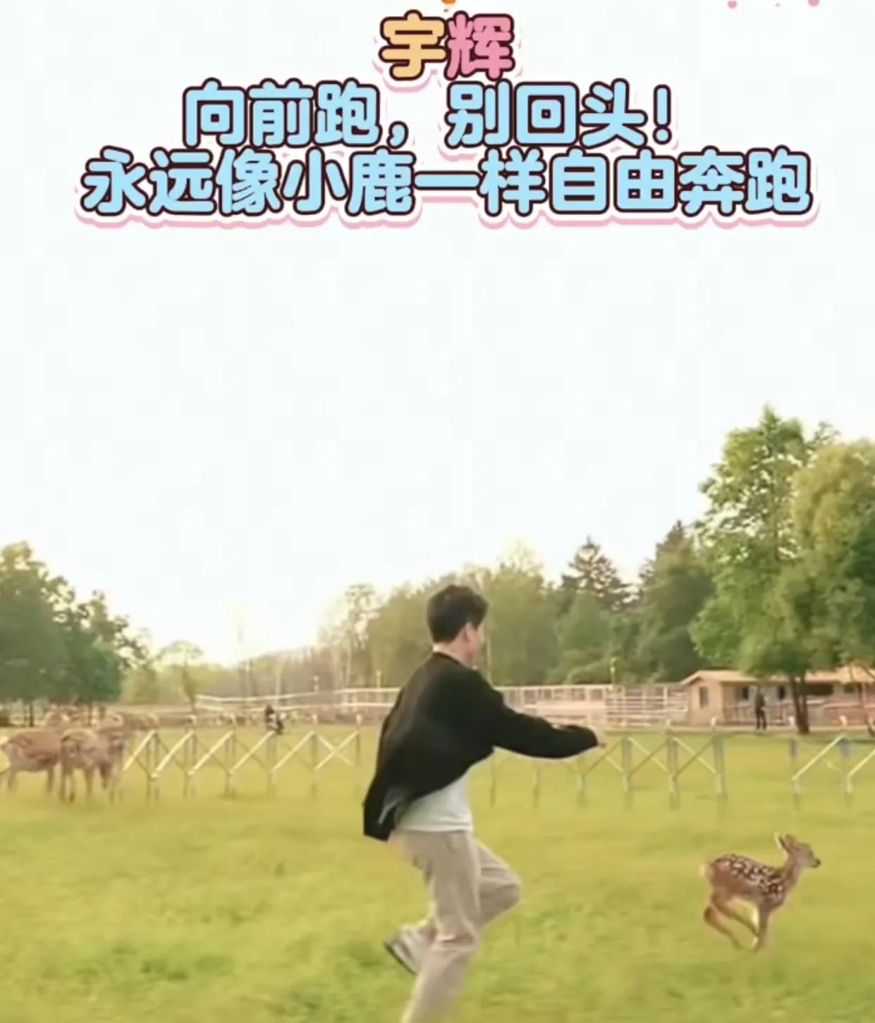 愿他如风一般自由！东北外场董宇辉看到小鹿就跑过去追了，飙哥追逐小鹿的画面美成