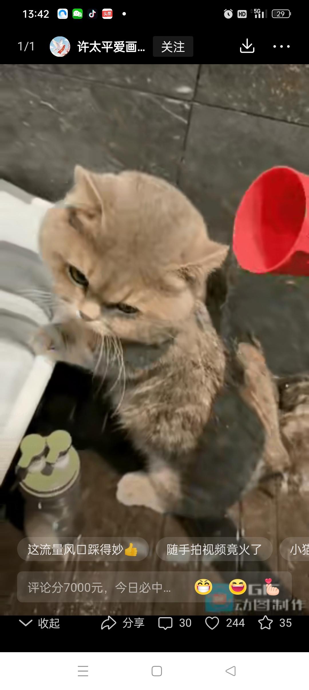 泼天的富贵！广东广州一位95后姑娘阿雯，本来就是随手拍了段给自家猫洗澡的日常，发