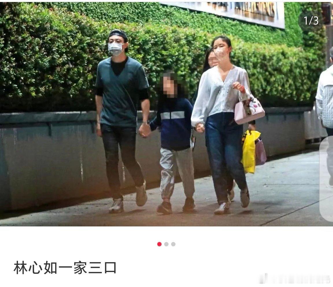 林心如一家三口牵手散步林心如霍建华带女儿看电影林心如和霍建华被台媒拍到带女儿看