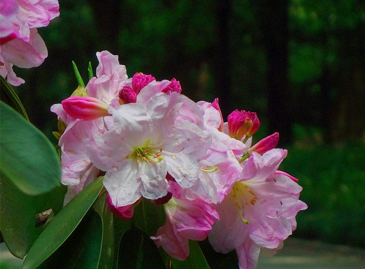 周末传来重磅消息，该如何看待周五的缩量下跌呢？周末重磅消息如下：一，据媒体报