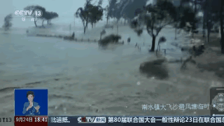 16级风力撕开海面时，37万人的转移队伍正在与台风赛跑。“桦加沙”的七级风圈半径