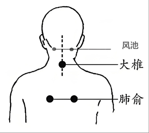 明天入伏, 中医专家教你“伏天”养生