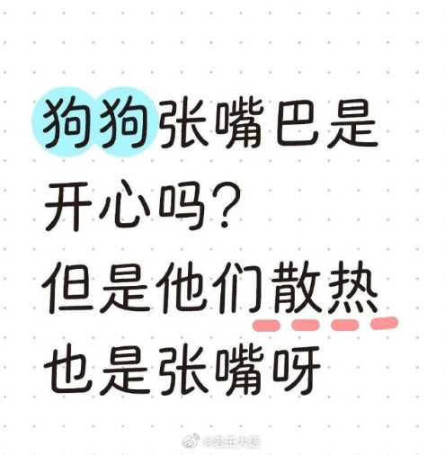 “狗狗张嘴巴是开心吗？但是他们散热也是张嘴呀！”​​​