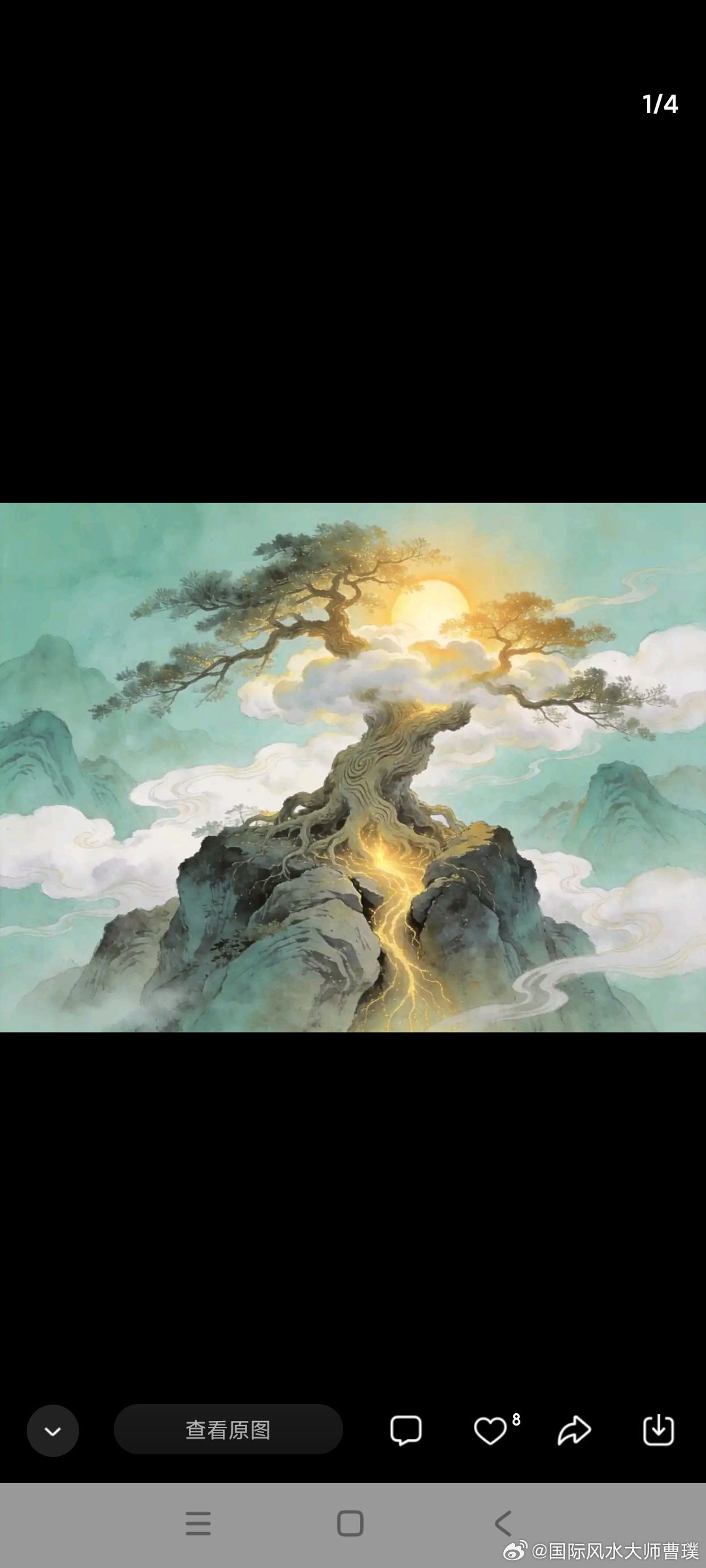 为何说“养树就是养龙脉”？玄学：院里的树并非普通植物，种对3种等于给家安了“聚宝