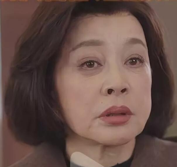 天呐！她怎么这么老了，满脸都是皱纹，而且鼻子像牛鼻子了，皮肤松弛了，不美颜不滤镜