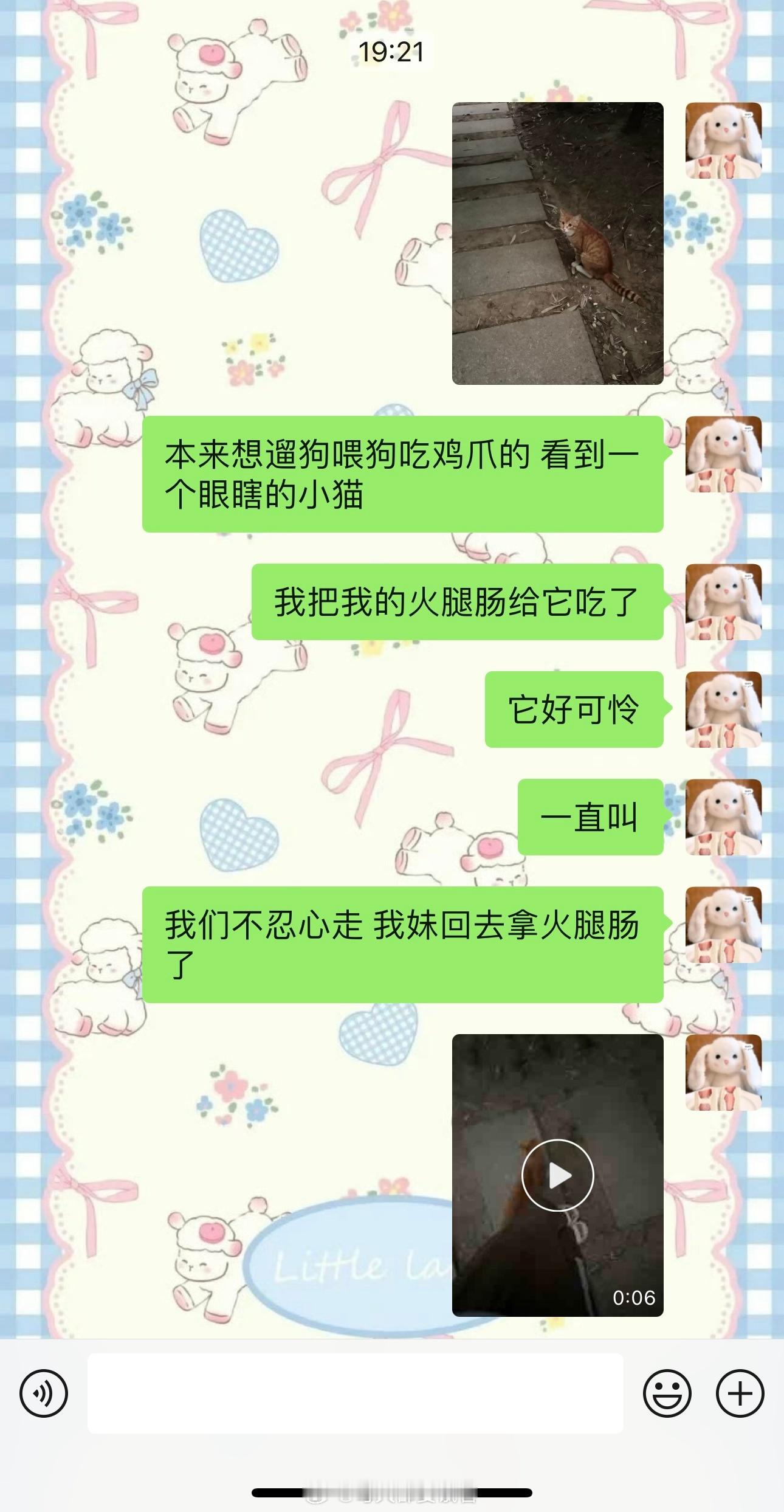 真的哭死好可怜的小猫谁那么坏把它眼戳瞎了[哭哭]​​​