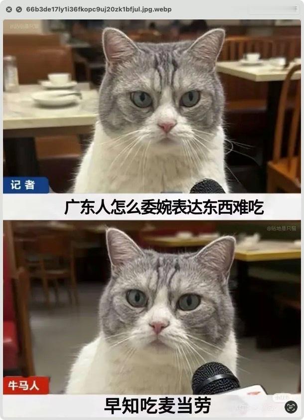 麦好​​​