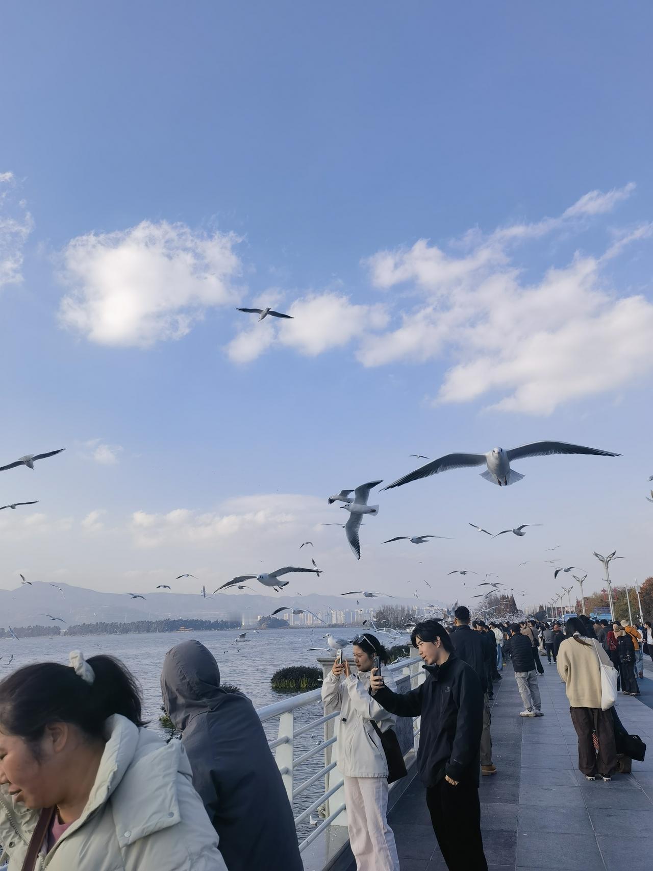 云南旅游系列篇（一）标题：滇池2025年12月3号，我和家人早早起床，开启了