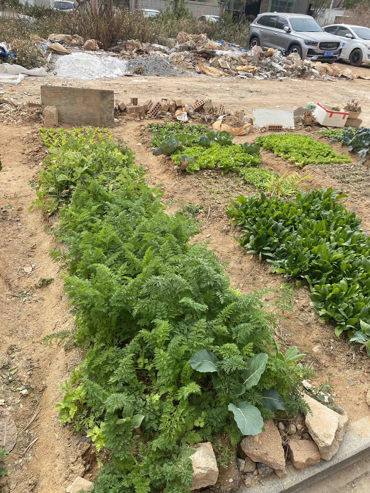 村里的二牛大爷有三个儿子。小儿子坐火车时，把头伸出窗外，结果头被夹掉了。二儿子