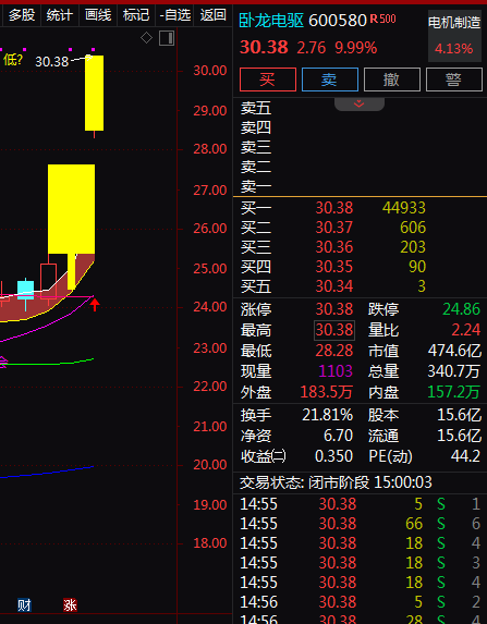 热门个股解读——卧龙电驱（600580）