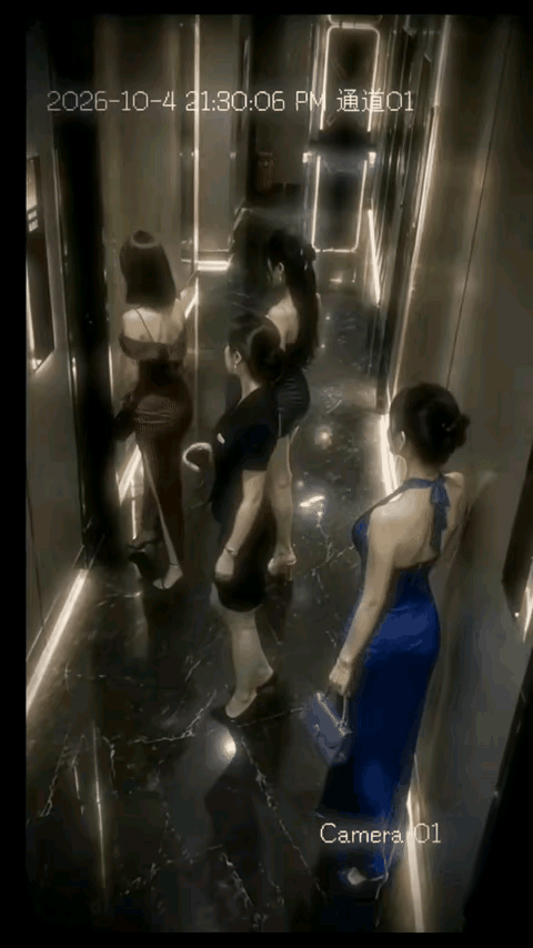 穿梭在夜晚的精灵，续写着灯红酒绿的故事