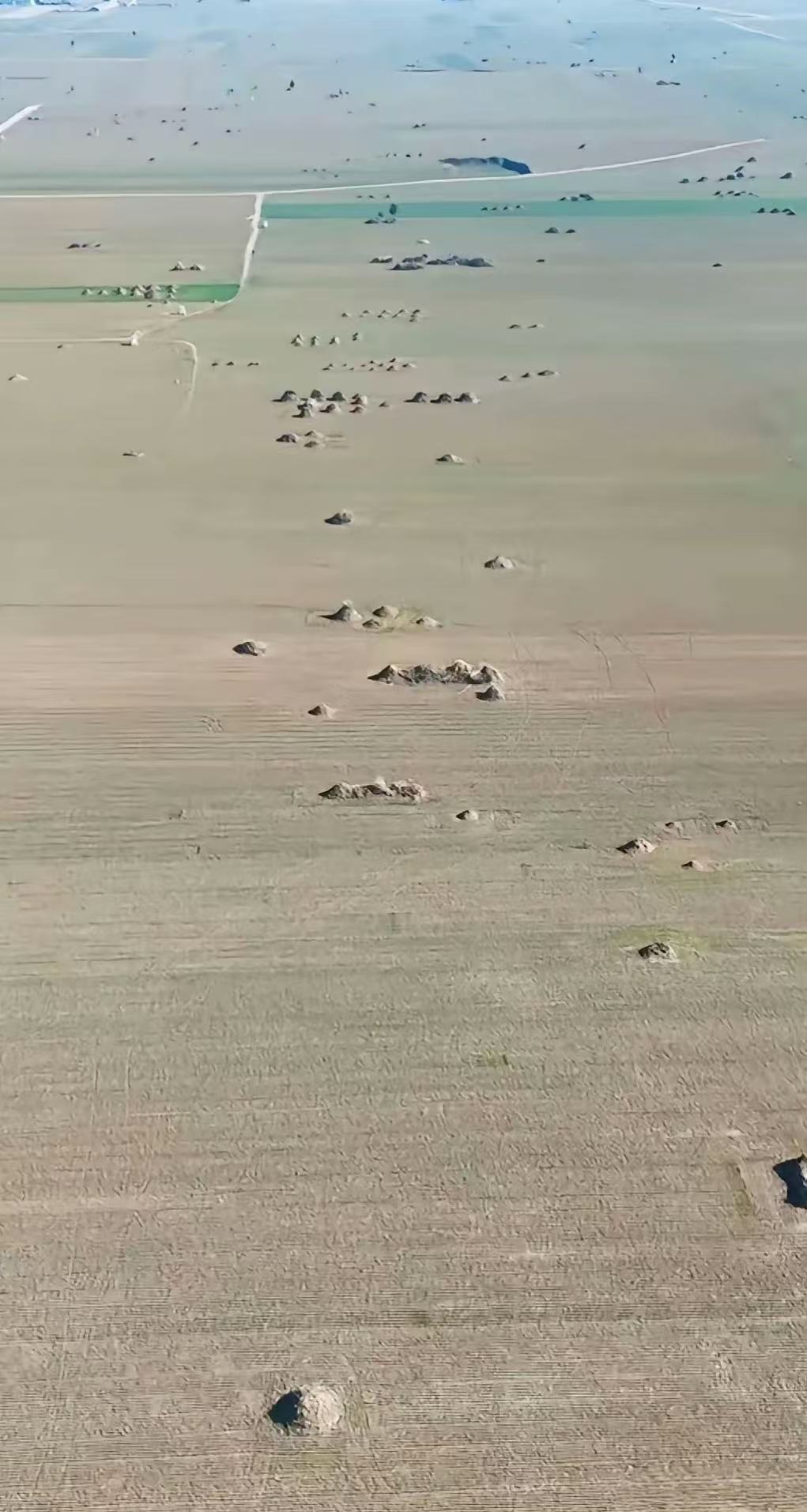 为何要推行火葬？这就是证明