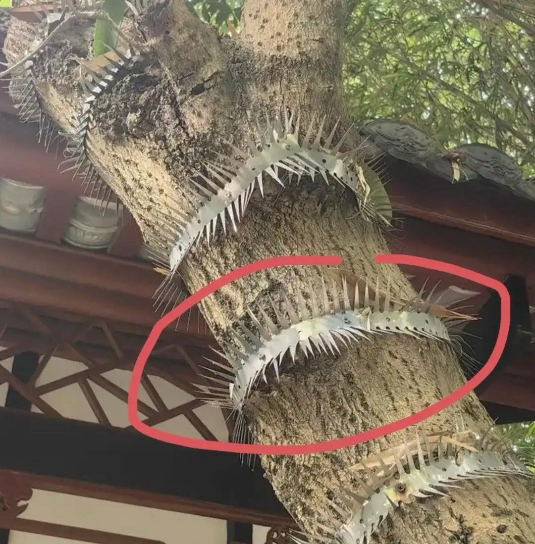 不懂就问，这样设计是防什么的？
