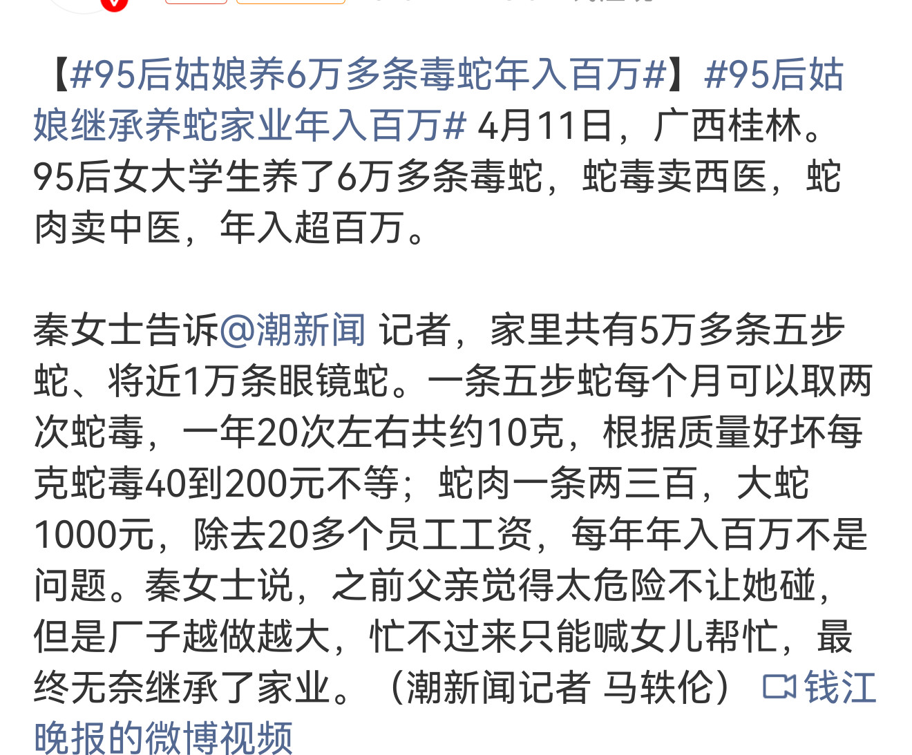 95后姑娘养6万多条毒蛇年入百万别人撸猫撸狗，她弄几万条毒蛇，我的天，这个太牛