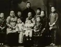 1974年，90岁的杨森迎娶了17岁的张灵凤。洞房之夜，就在杨森要行房事时，张灵