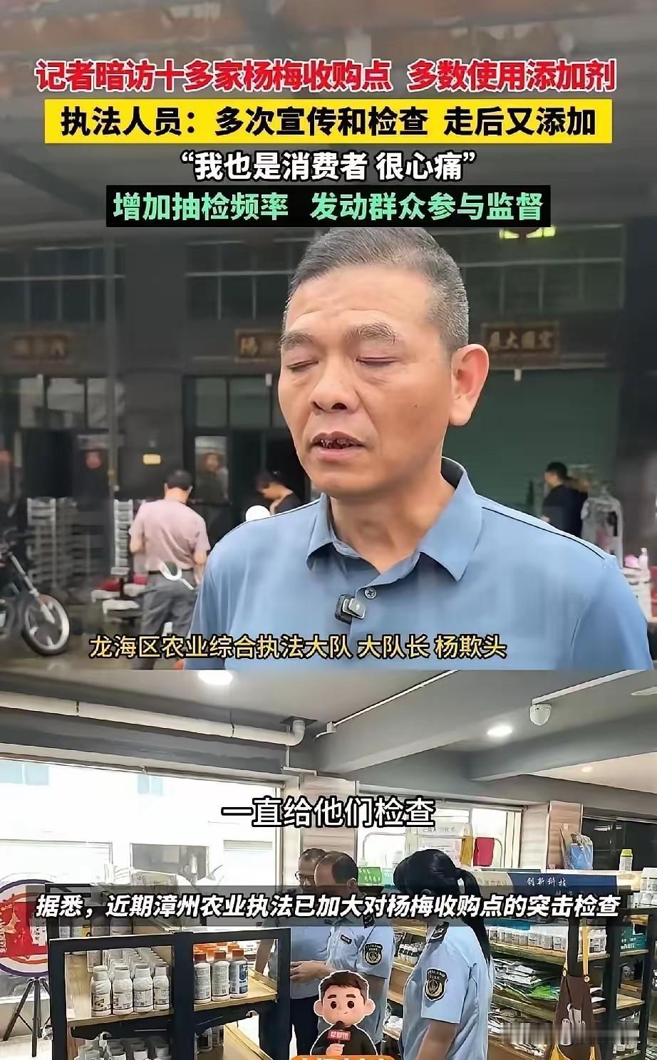漳州杨梅泡药事件：数万果农为黑心商贩买单，七百年招牌毁于一旦这下好了，不仅