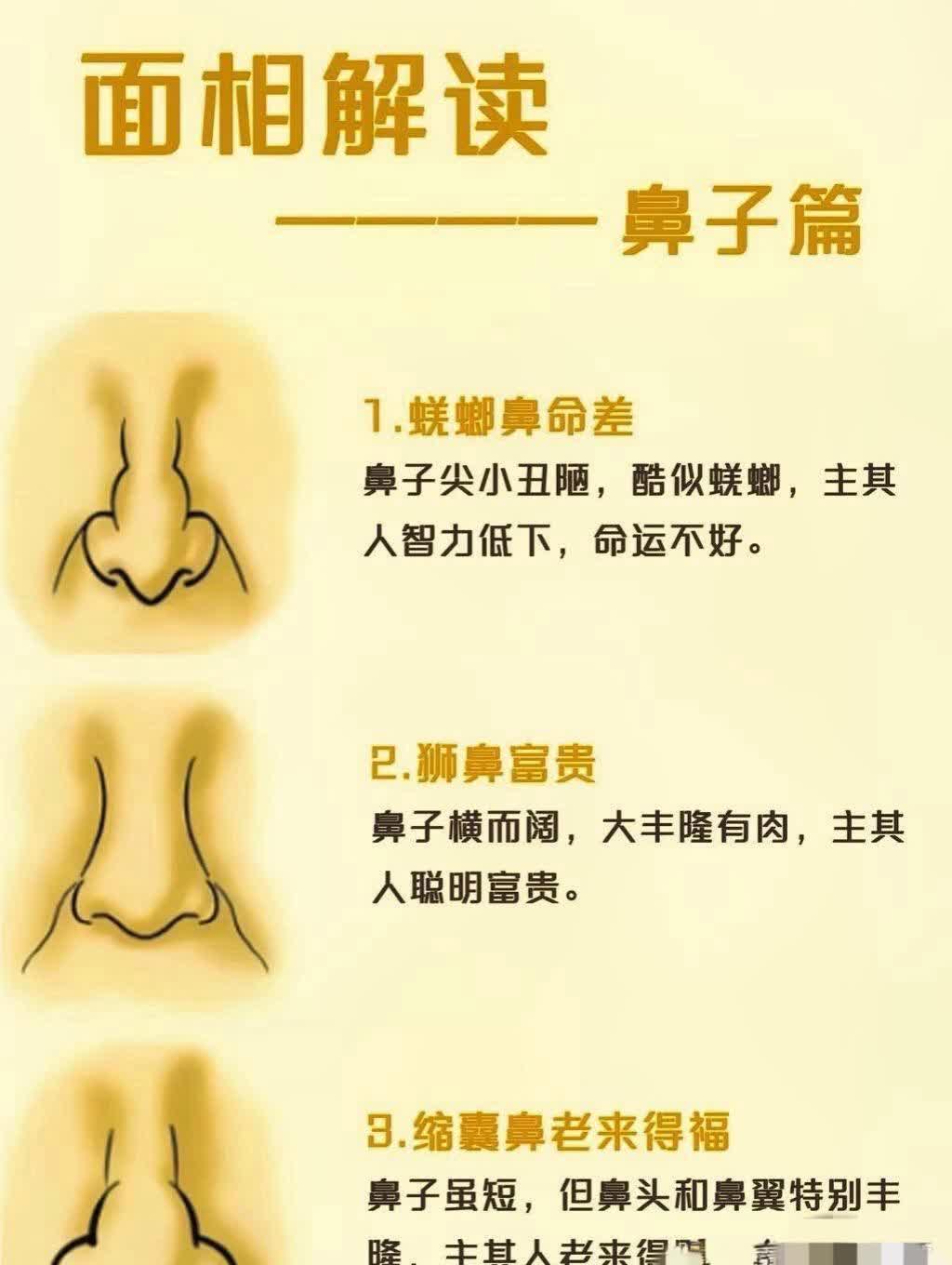 面相解读：鼻相各异，蝶螂鼻命差，狮鼻富贵，缩囊鼻老来福。