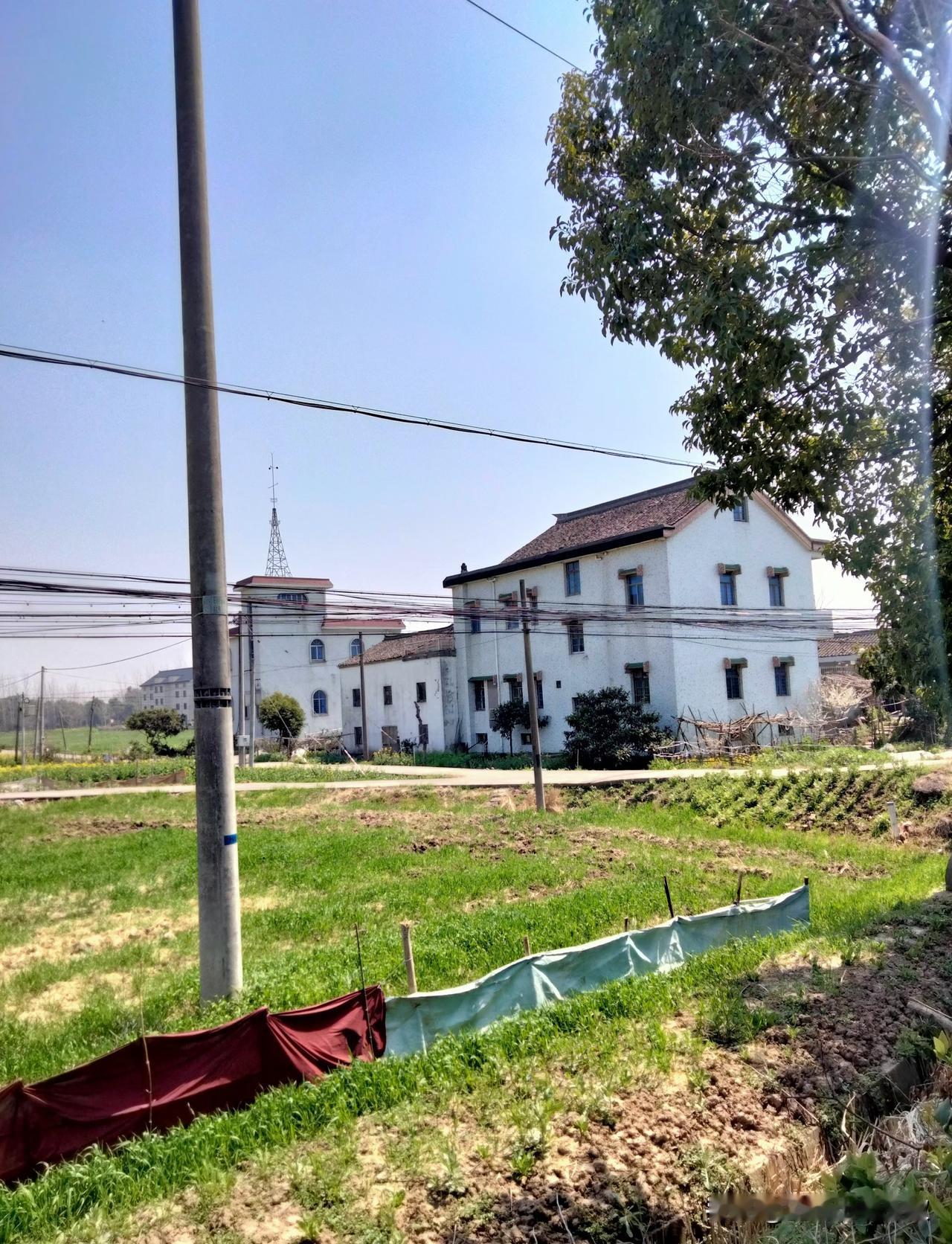 这几年网上浙吹们一直在自嗨我们浙江人多富裕，我们浙江人个个是老板、个个是千万富翁