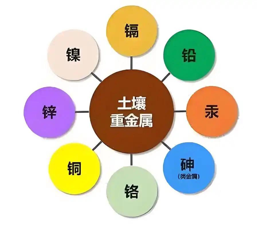 人们常说的重金属有哪些？比如铅，危害极大，进入人体会影响神经系统