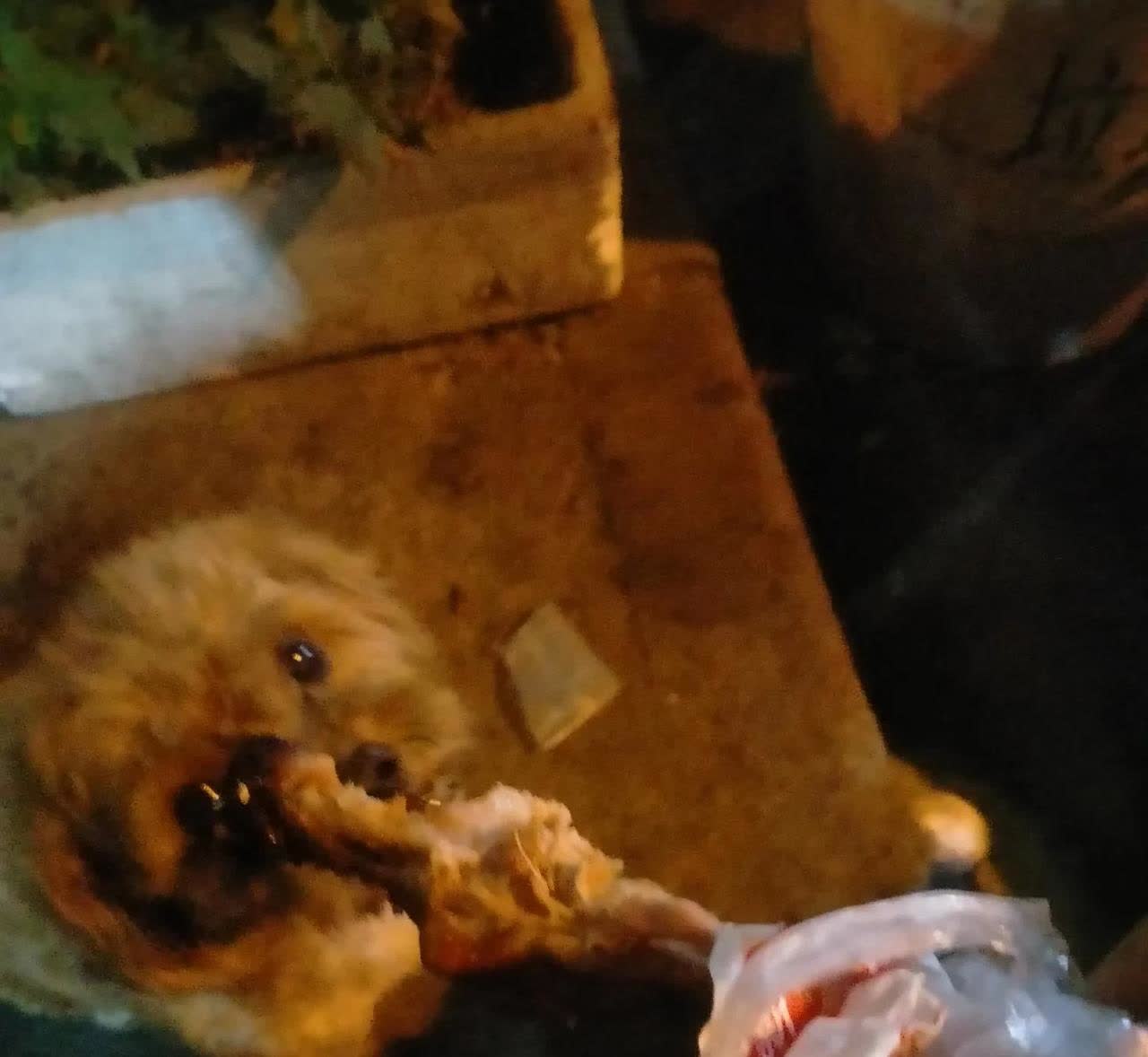 广东东莞，有一名男子准备上夜班，因为觉得肚子有点饿了，就买了两根鸡腿，准备带回