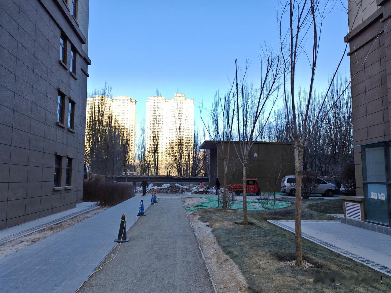 今年冬天的不同大家看这个天气情况跟以往最大的不同，就是天气更好