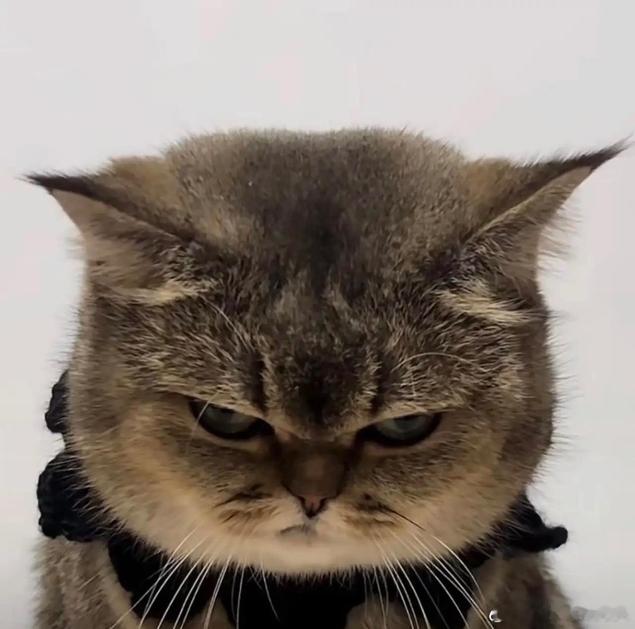 人性铁律：1、夫妻，不送葬2、亲戚，不共财3、无钱，莫投亲4、位卑，莫劝人