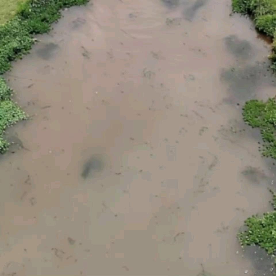 一条脏水沟，这么多人来露营？？不知道以为是印度