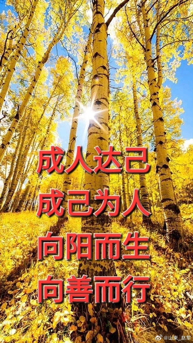 化解上逆之气，一药旋转，一药镇压！张仲景的这对绝配，缺一不可在中医方剂的长河中，