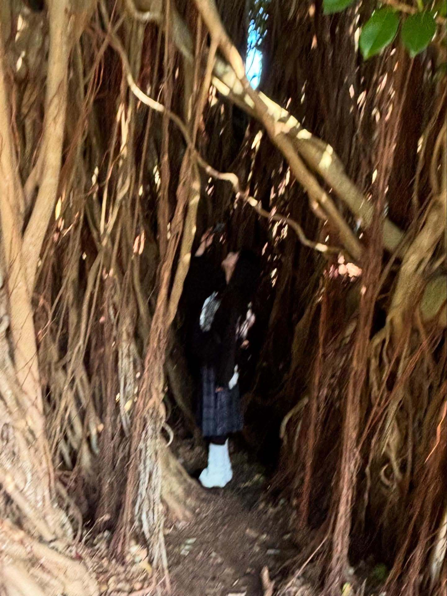 大園玲「˖*鹿児島」