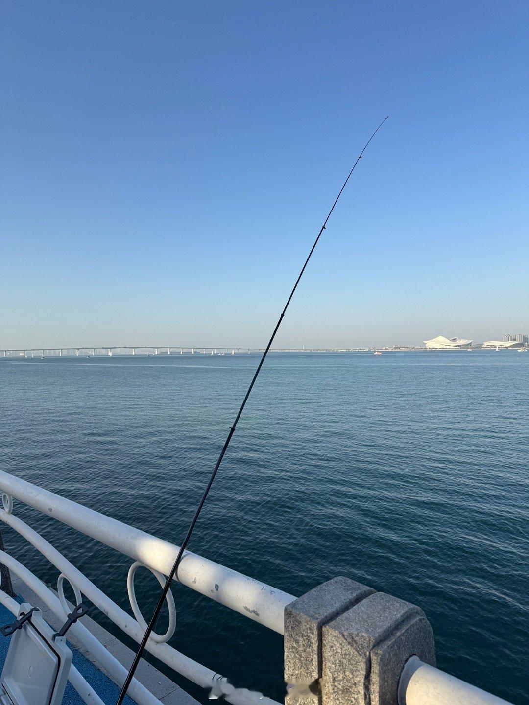 做一下午的钓鱼佬