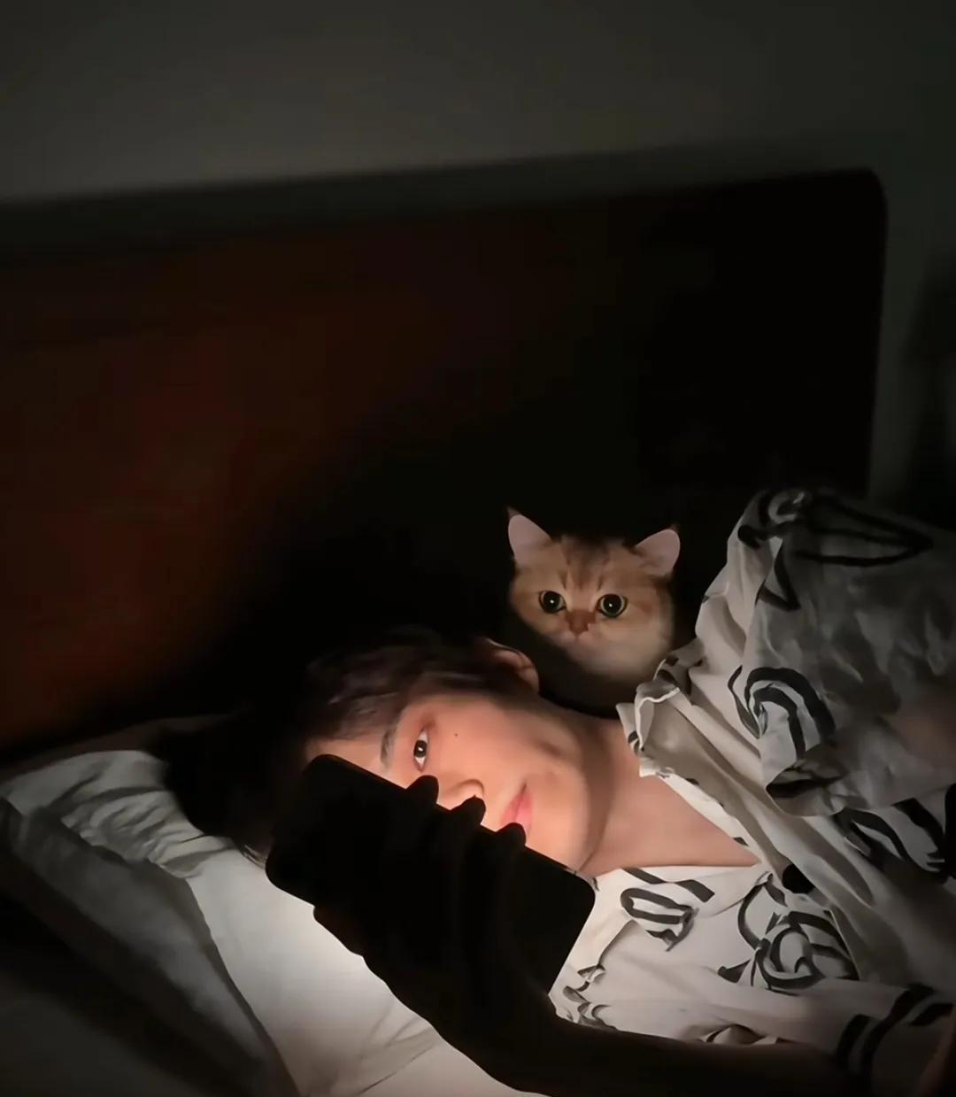 小猫的身影无处不在，眼珠子始终盯着主人的一举一动……