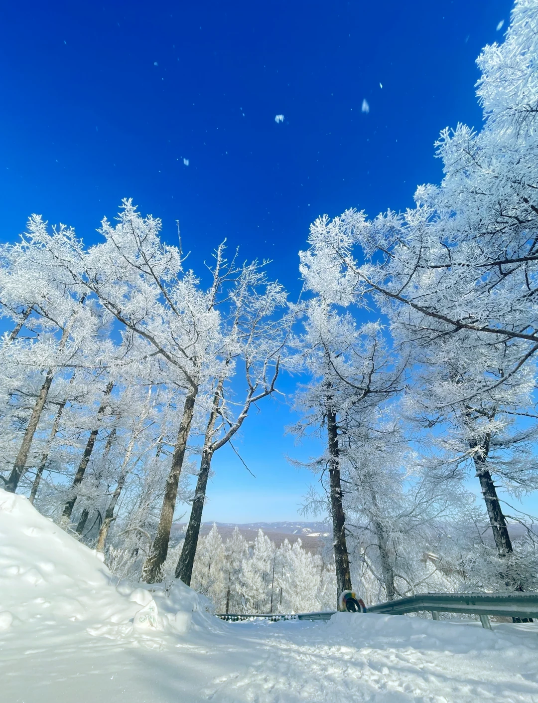 冬日内蒙古兴安盟，美景和美食打卡攻略！