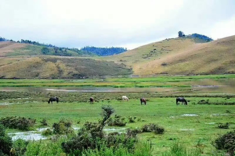 凉山·木里，与泸沽湖格姆女神山仅一山之隔，被称为“香格里拉的源头”，木里和稻城亚