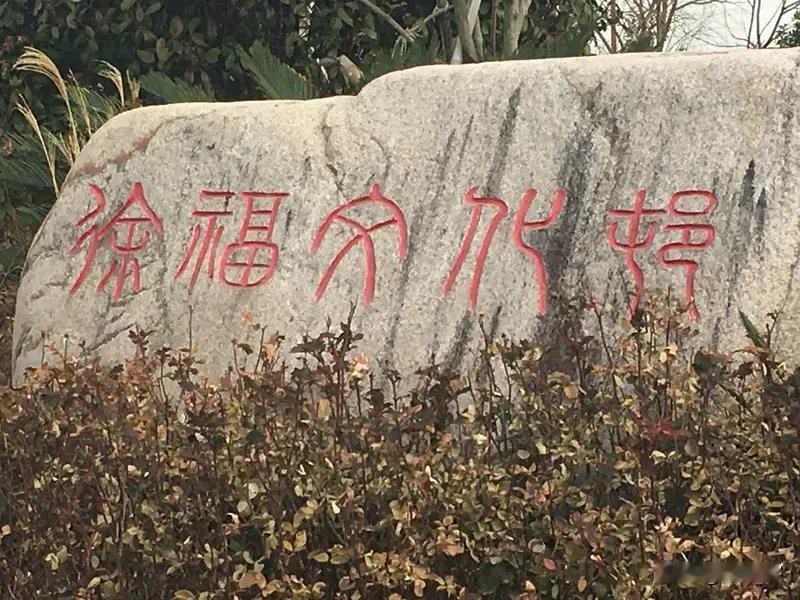 我的梦想是活着，却成了奢望！