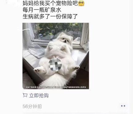 宠物险广告现女性私密部位, 网友质疑低俗营销