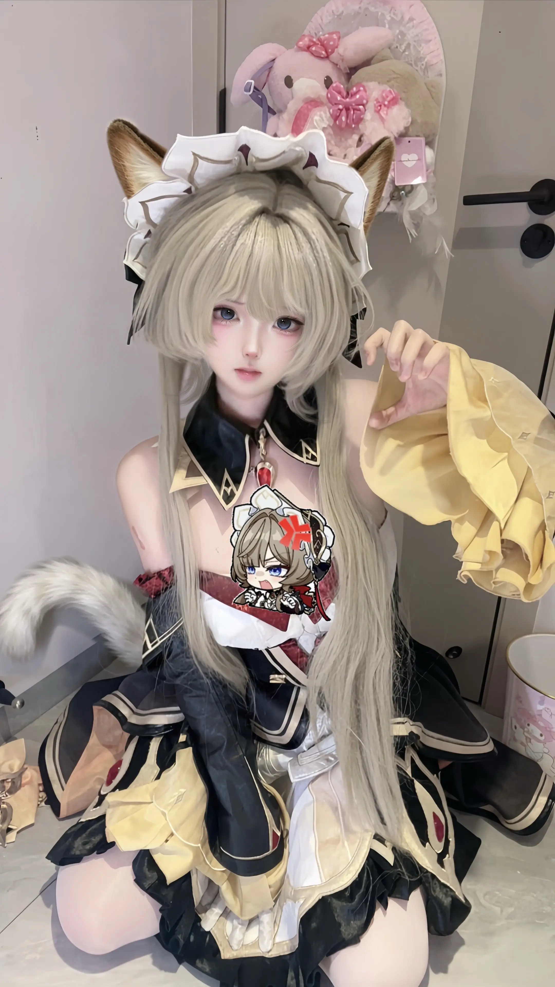 桑多涅布偶猫。