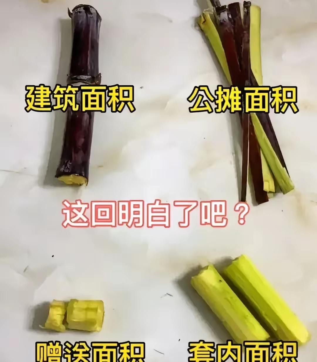 这下大家知道什么是公摊面积了吧