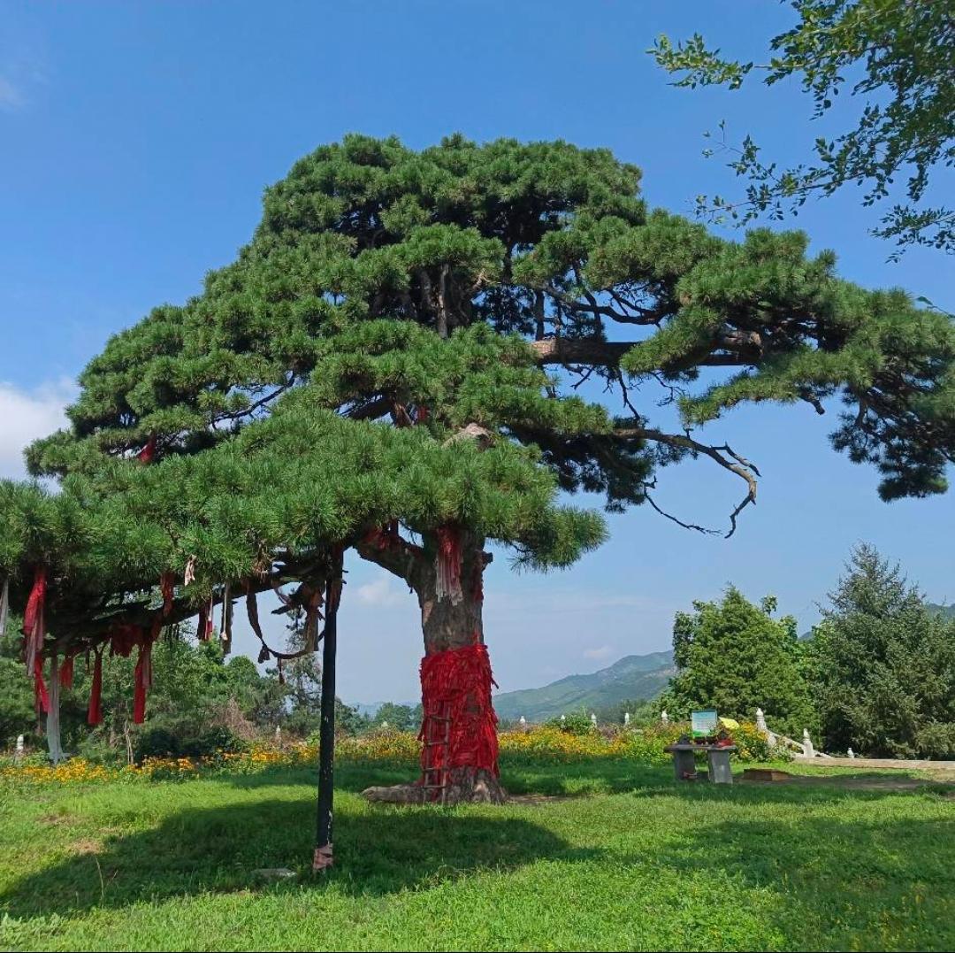 低欲望的人有多可怕！今天已经腊月二十三了，北方小年。我一个82年的单身狗，远在离