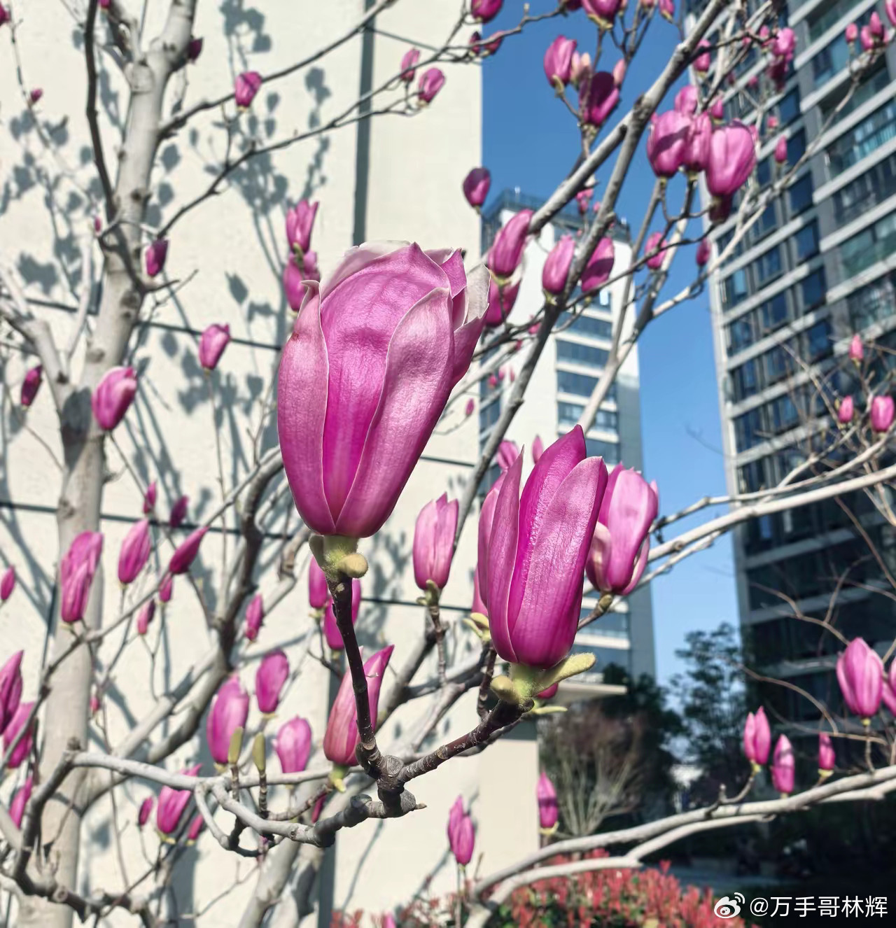 做波段的永远是赌徒有位网友说：1998年可口可乐市盈率高达50倍，巴菲特没卖，结