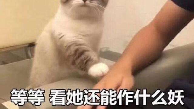 漂亮姐姐表情包:给你以前的我,和现在的我