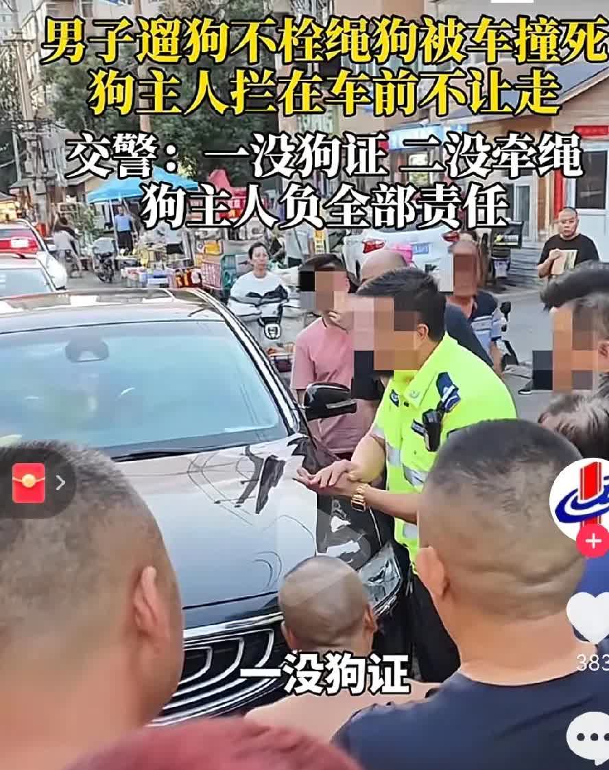 一觉醒来，遛狗不牵绳的慌了。7月21日河北一男子遛狗不牵绳，任由狗在大街上乱
