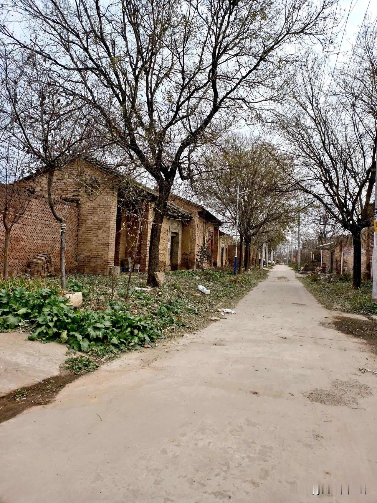 现在农村光棍真的泛滥成灾了，我姑姑家3个儿子，3个都是光棍。我二姑当年就凭着三