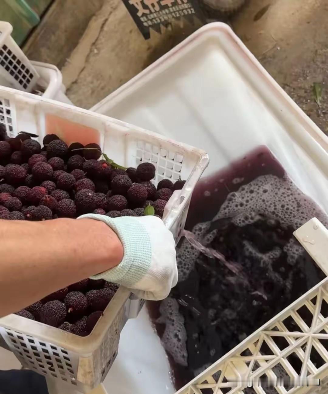 真TM恶心！给中国人吃就加药水，卖到欧洲就啥也不添加福建漳州龙海浮宫镇和白水