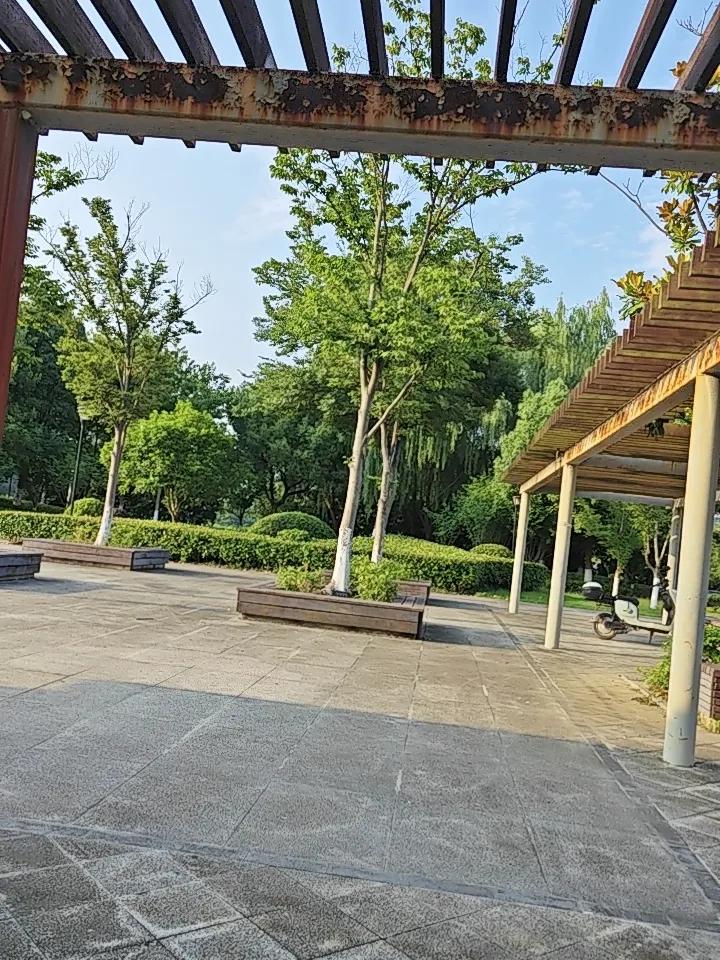 忠告50岁以上：你不是老了，是被“假养生”拖垮的！说句扎心大实话。大