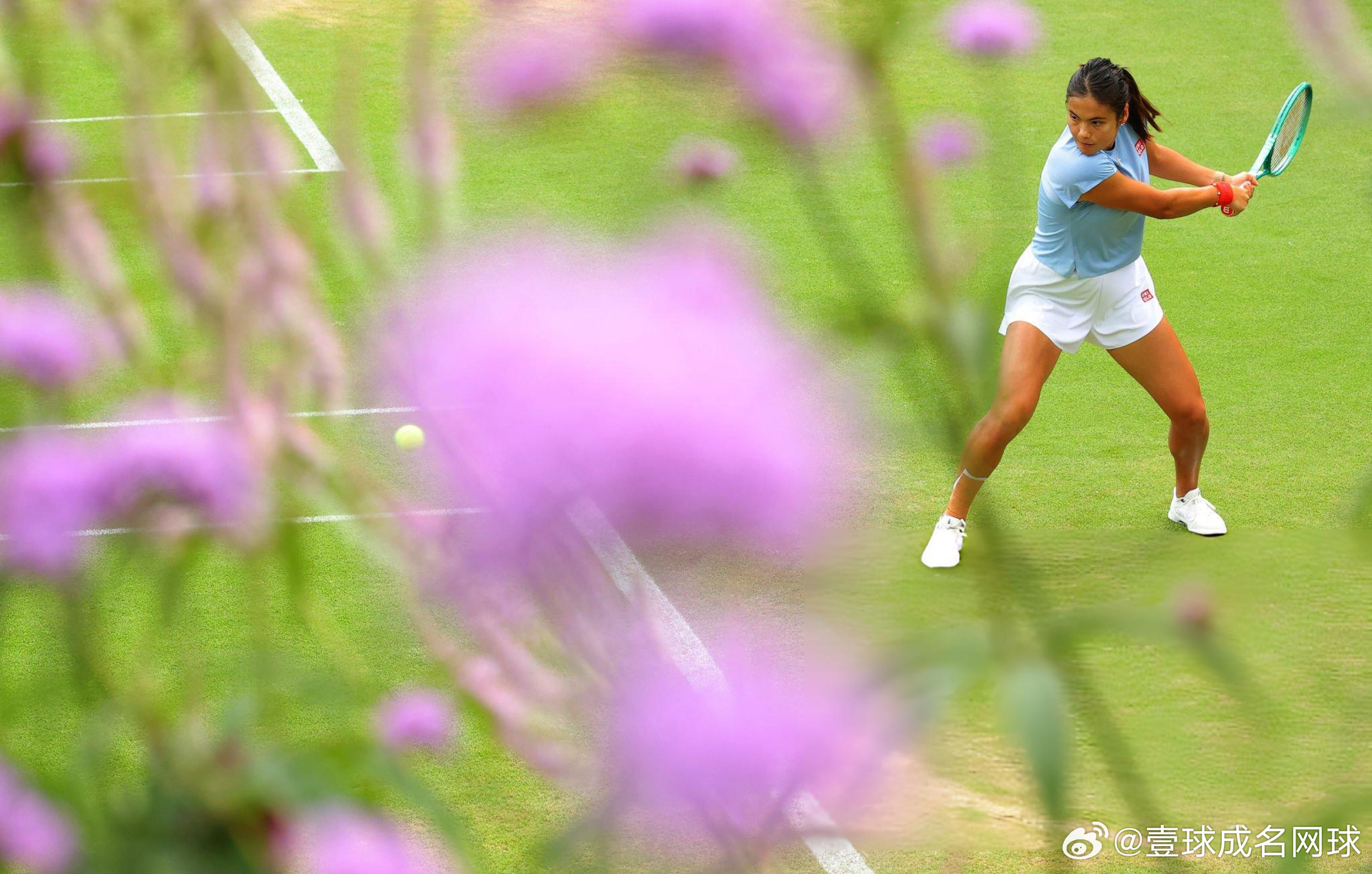 拍摄这两张照片的同志我怀疑网名叫：花开富贵！温网2026wta