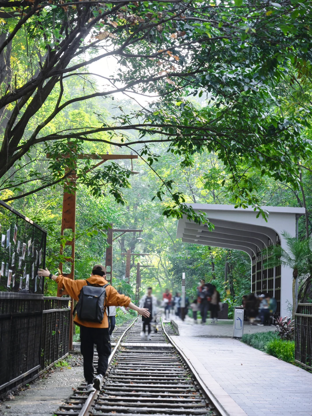 重庆近郊9条小众轻徒步线路｜秋游正当时