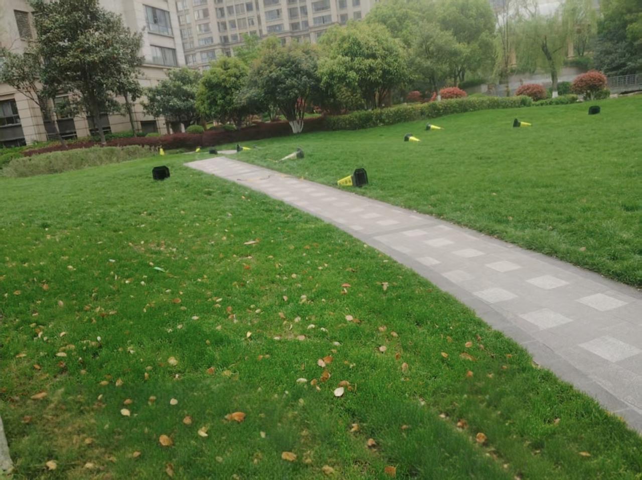 这是南京一个已建成交付已14年之久的老小区了，各位给评价一下，该小区物业对于草坪