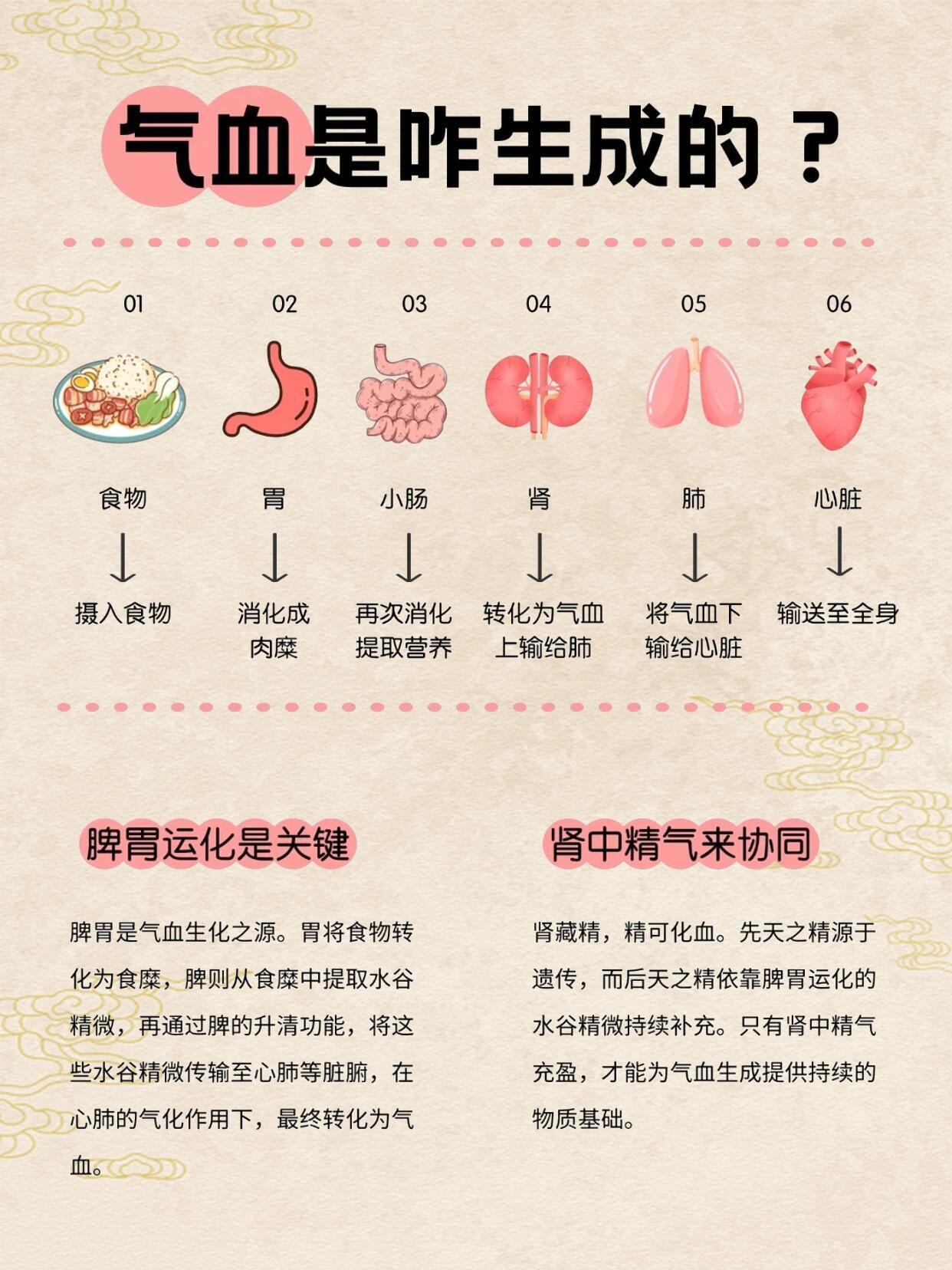 气血是怎么样生成的？补气血的正确顺序！宝子们，总听人说气血很重要，可气血究竟是怎