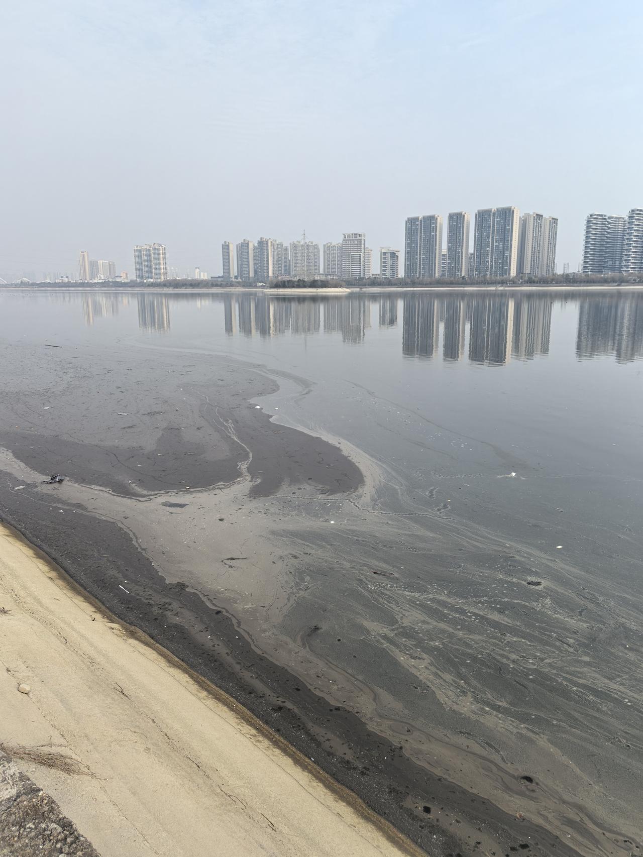 南阳人引以为傲的白河现在成了污水沟。时隔半年再次回到南阳，特意又